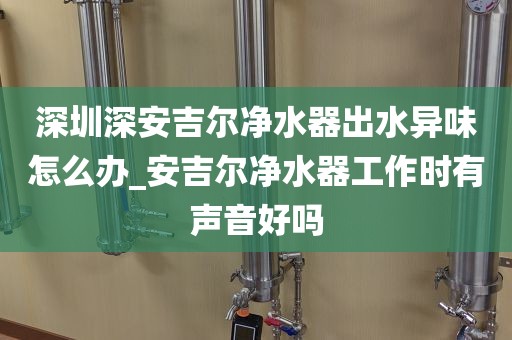 深圳深安吉尔净水器出水异味怎么办_安吉尔净水器工作时有声音好吗