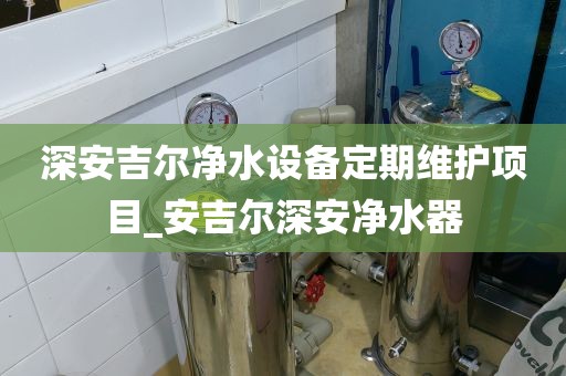 深安吉尔净水设备定期维护项目_安吉尔深安净水器