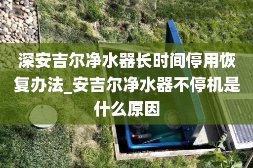 深安吉尔净水器长时间停用恢复办法_安吉尔净水器不停机是什么原因