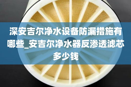 深安吉尔净水设备防漏措施有哪些_安吉尔净水器反渗透滤芯多少钱
