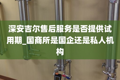 深安吉尔售后服务是否提供试用期_国商所是国企还是私人机构