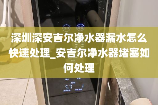 深圳深安吉尔净水器漏水怎么快速处理_安吉尔净水器堵塞如何处理