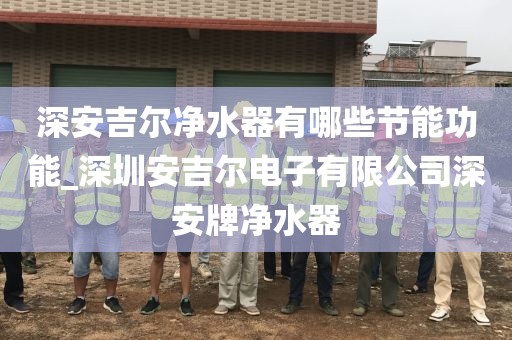 深安吉尔净水器有哪些节能功能_深圳安吉尔电子有限公司深安牌净水器
