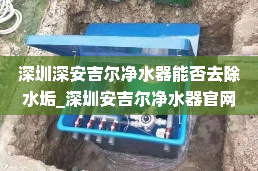 深圳深安吉尔净水器能否去除水垢_深圳安吉尔净水器官网