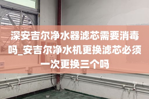 深安吉尔净水器滤芯需要消毒吗_安吉尔净水机更换滤芯必须一次更换三个吗