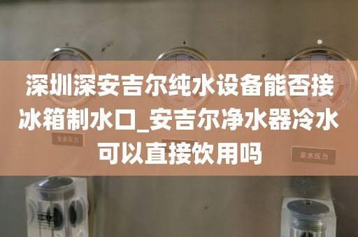 深圳深安吉尔纯水设备能否接冰箱制水口_安吉尔净水器冷水可以直接饮用吗