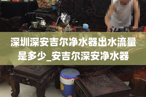 深圳深安吉尔净水器出水流量是多少_安吉尔深安净水器