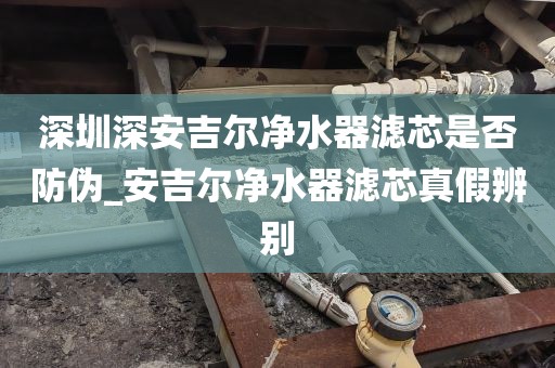 深圳深安吉尔净水器滤芯是否防伪_安吉尔净水器滤芯真假辨别