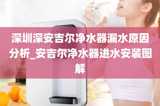 深圳深安吉尔净水器漏水原因分析_安吉尔净水器进水安装图解