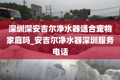 深圳深安吉尔净水器适合宠物家庭吗_安吉尔净水器深圳服务电话