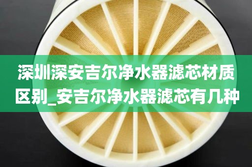 深圳深安吉尔净水器滤芯材质区别_安吉尔净水器滤芯有几种