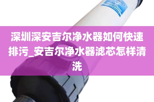 深圳深安吉尔净水器如何快速排污_安吉尔净水器滤芯怎样清洗