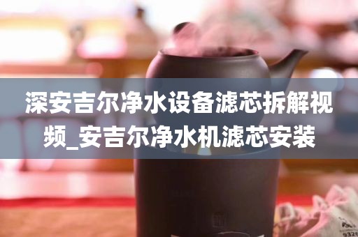 深安吉尔净水设备滤芯拆解视频_安吉尔净水机滤芯安装