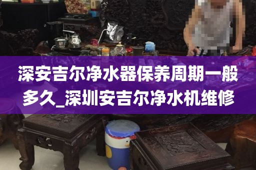 深安吉尔净水器保养周期一般多久_深圳安吉尔净水机维修