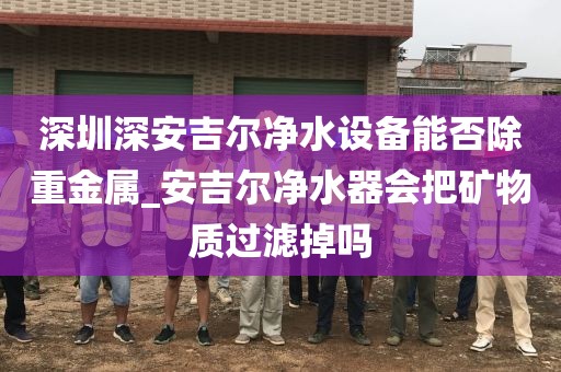 深圳深安吉尔净水设备能否除重金属_安吉尔净水器会把矿物质过滤掉吗