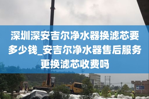 深圳深安吉尔净水器换滤芯要多少钱_安吉尔净水器售后服务更换滤芯收费吗