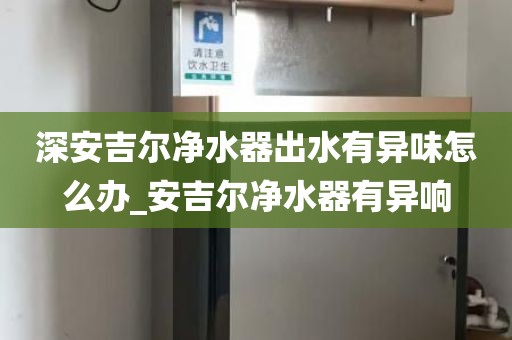 深安吉尔净水器出水有异味怎么办_安吉尔净水器有异响