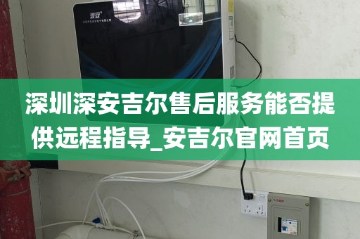 深圳深安吉尔售后服务能否提供远程指导_安吉尔官网首页