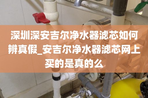 深圳深安吉尔净水器滤芯如何辨真假_安吉尔净水器滤芯网上买的是真的么