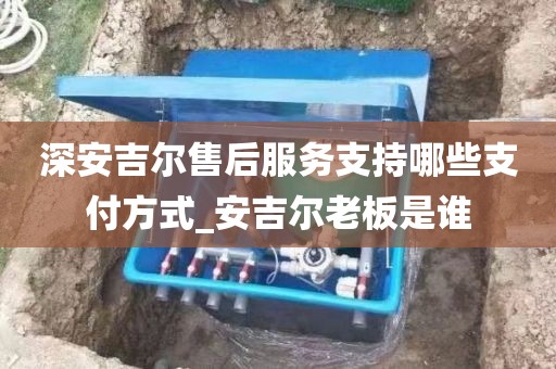 深安吉尔售后服务支持哪些支付方式_安吉尔老板是谁