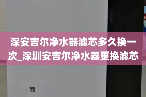 深安吉尔净水器滤芯多久换一次_深圳安吉尔净水器更换滤芯