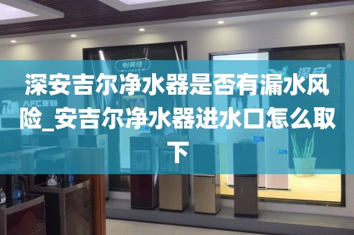 深安吉尔净水器是否有漏水风险_安吉尔净水器进水口怎么取下