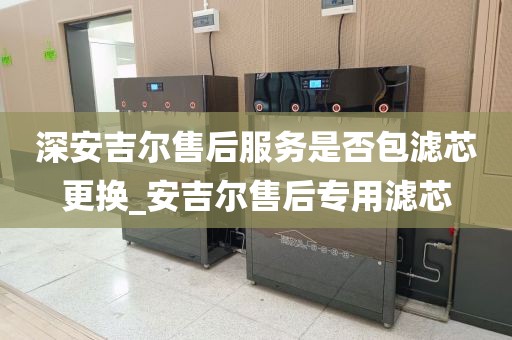 深安吉尔售后服务是否包滤芯更换_安吉尔售后专用滤芯