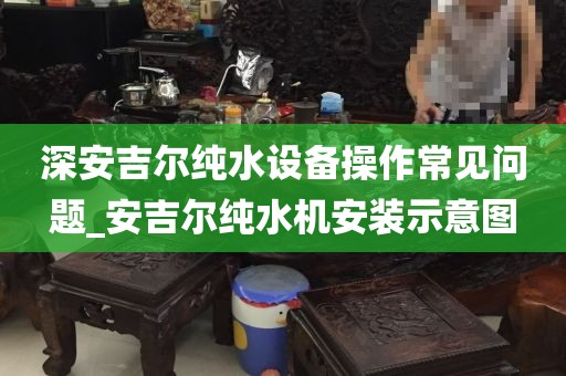 深安吉尔纯水设备操作常见问题_安吉尔纯水机安装示意图