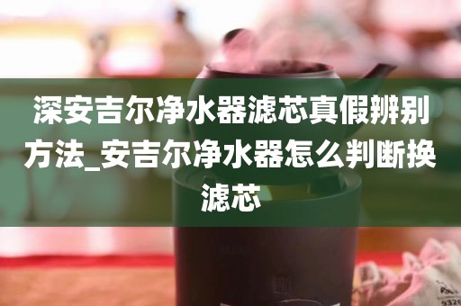 深安吉尔净水器滤芯真假辨别方法_安吉尔净水器怎么判断换滤芯