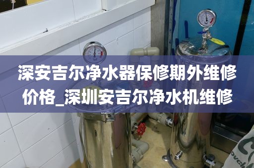 深安吉尔净水器保修期外维修价格_深圳安吉尔净水机维修